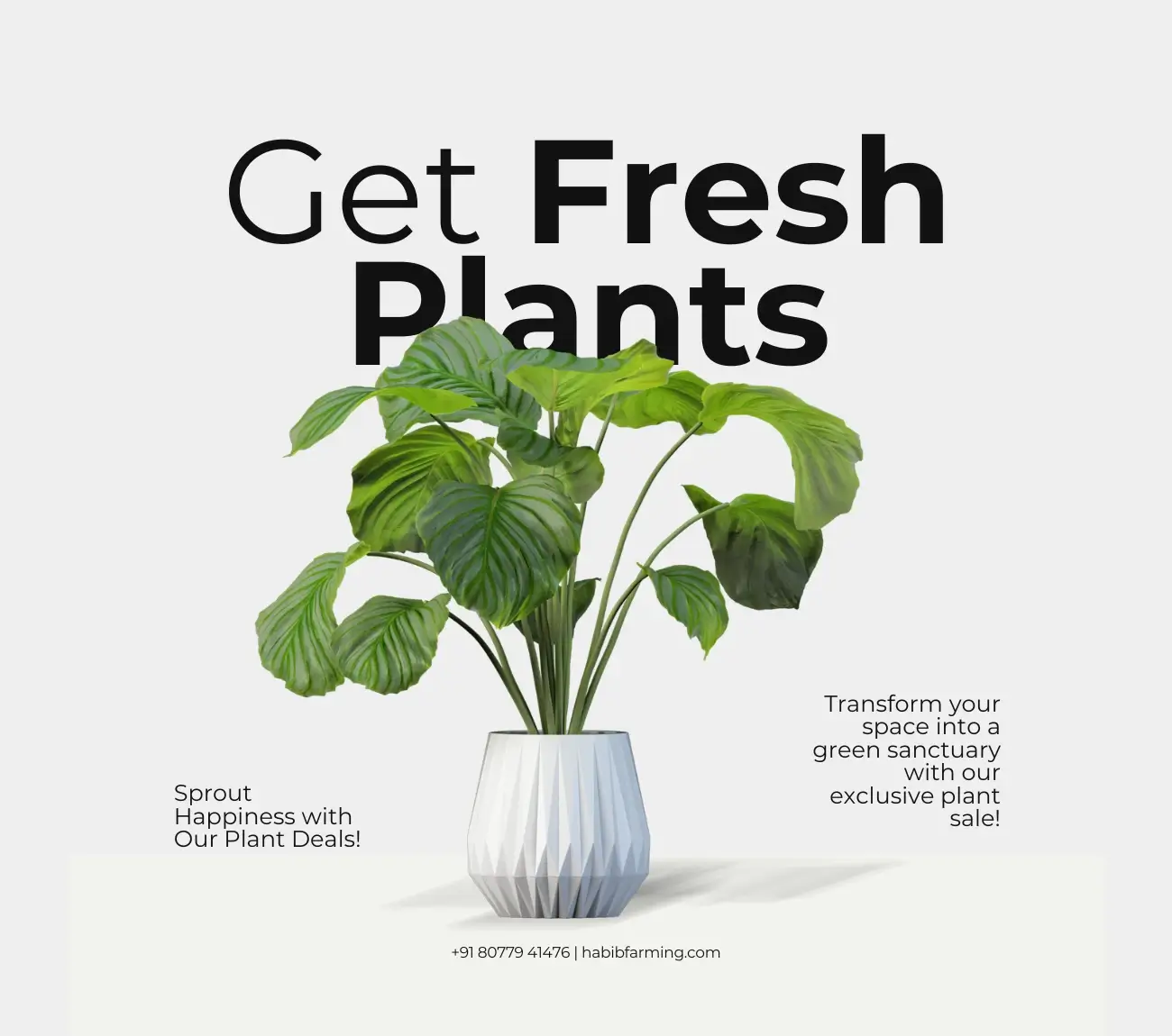 Fresh and Healthy Plants