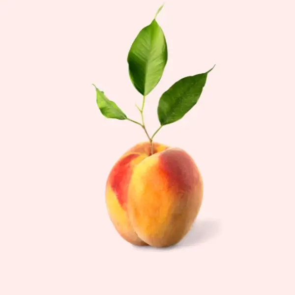 Peach fruit as a low chill variety